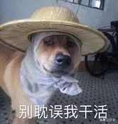 健身辣酱营养表_健身辣椒酱_健身酱料