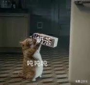 健身辣酱营养表_健身酱料_健身辣椒酱