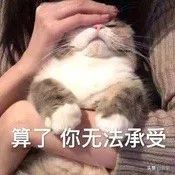 健身辣酱营养表_健身辣椒酱_健身酱料