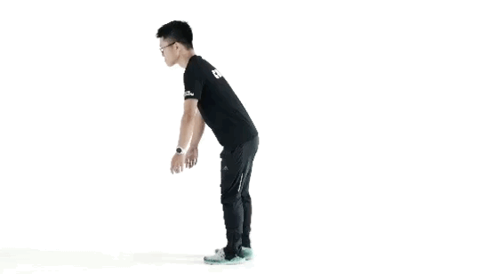 练腿健身器材_健身练腿器械_器材练腿健身的叫什么