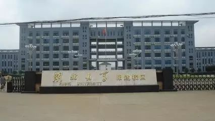 湖北队足球冠军是谁啊视频_湖北足球队名单_湖北足球队主帅