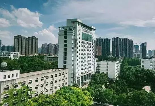 湖北队足球冠军是谁啊视频_湖北足球队主帅_湖北足球队名单