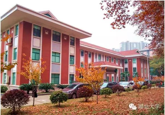 湖北足球队主帅_湖北队足球冠军是谁啊视频_湖北足球队名单