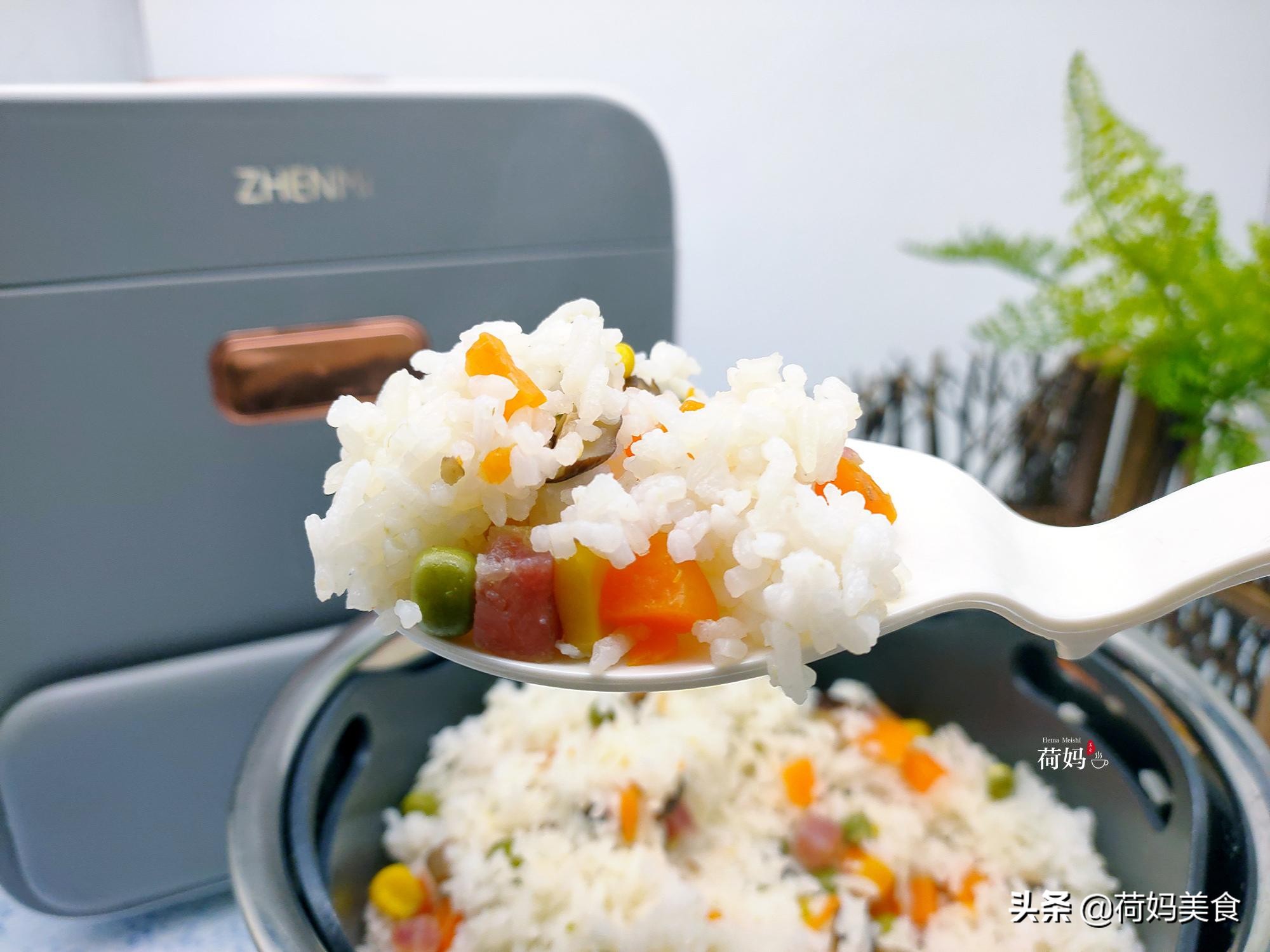 营养杂粮饭怎样搭配_杂粮饭营养素_杂粮米饭营养餐
