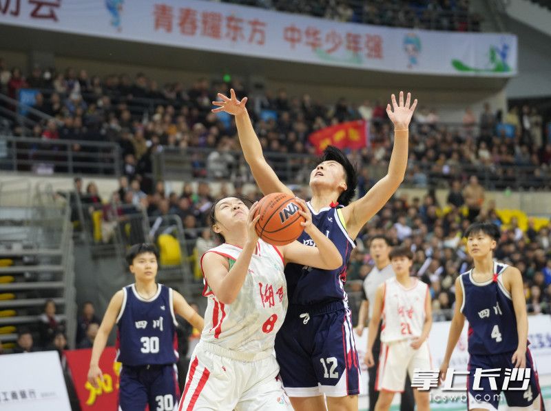 2021儿童篮球联赛_梅溪湖儿童篮球比赛冠军_梅溪湖篮球培训