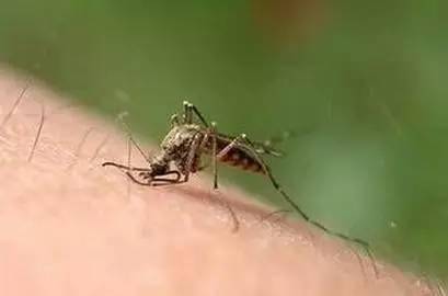 窍门好生活小妙招_好的生活小窍门_《生活小窍门》