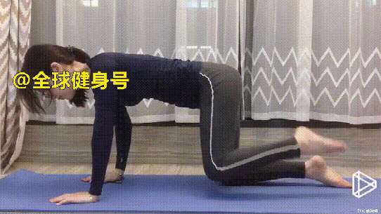 女生健身房瘦腿运动_女子瘦腿健身操_女生去健身房瘦腿做哪些器械